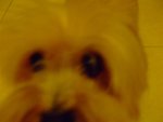 DSCF0195