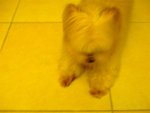 DSCF0196