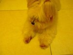 DSCF0197