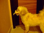 DSCF0202