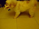 DSCF0203
