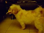 DSCF0204
