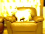 DSCF0205