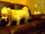 DSCF0206