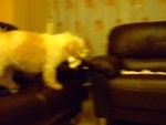 DSCF0207