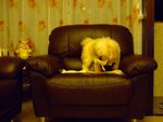 DSCF0208