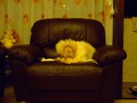 DSCF0209