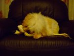 DSCF0210