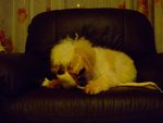 DSCF0211