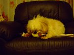 DSCF0212