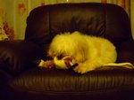 DSCF0213