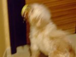 DSCF0214