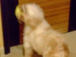 DSCF0215