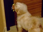 DSCF0216
