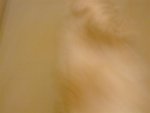 DSCF0217