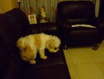 DSCF0218