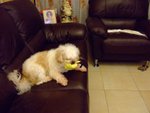DSCF0219