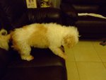DSCF0220