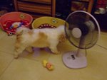 DSCF0221