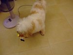DSCF0222