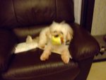 DSCF0223