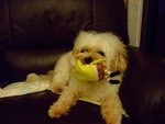 DSCF0224