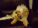 DSCF0225