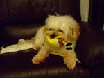 DSCF0226