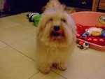 DSCF0228