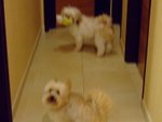 DSCF0231