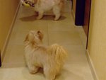DSCF0232