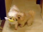 DSCF0233