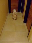 DSCF0234