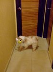 DSCF0235