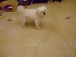 DSCF0236
