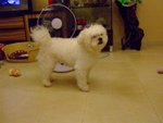 DSCF0237