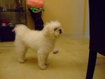 DSCF0239