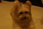 PICT0344