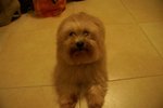 PICT0359