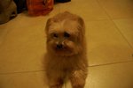 PICT0360