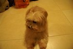 PICT0361