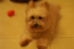 PICT0375