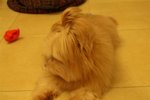 PICT0382