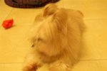 PICT0383
