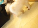 DSC02044