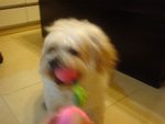 DSC02045