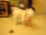 DSC02047