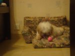 DSC02048