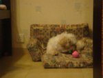 DSC02049