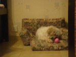 DSC02050